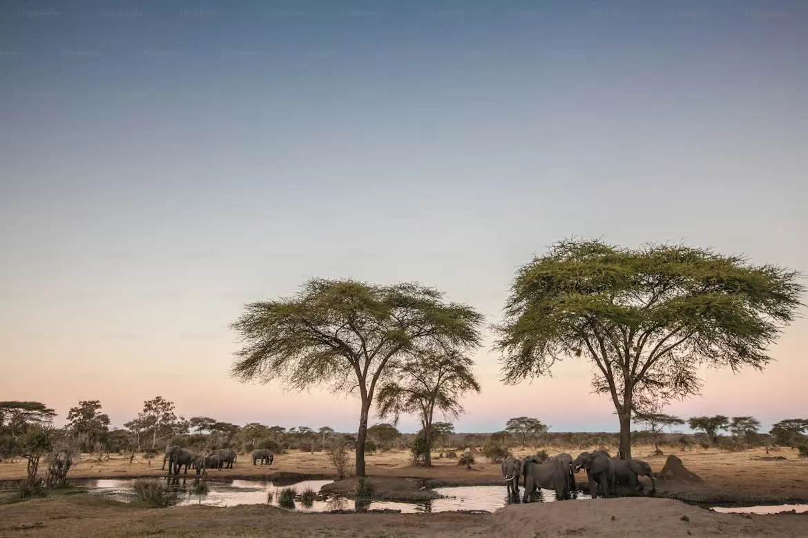 Africa travel eSIM plans